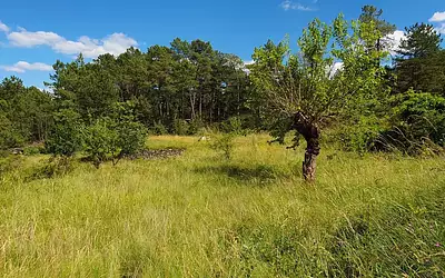 Maison neuve, 88 m²