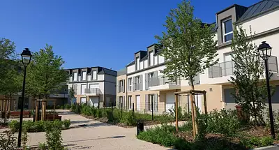 ARBORA