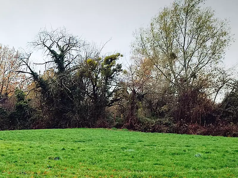 Terrain à bâtir, 812 m² - Perrex (01540)