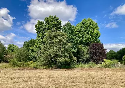 Terrain à bâtir, 500 m²