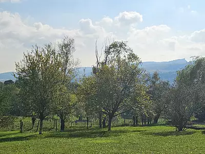 Terrain à bâtir, 1 200 m²