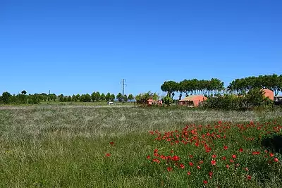 Terrain à bâtir, 334 m²