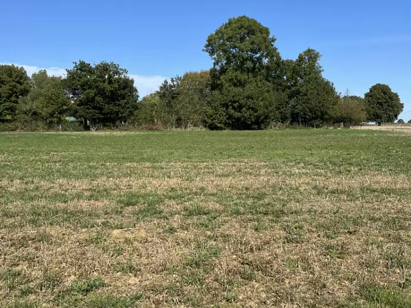 Terrain à bâtir, 1 464 m² - Béthon (72610)