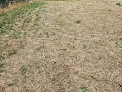 Maison neuve, 120 m²