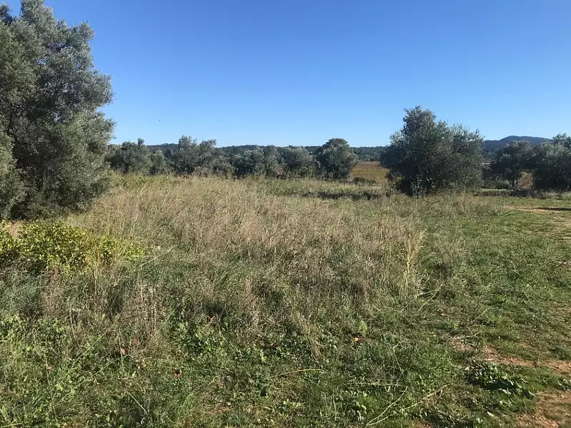 Maison neuve, 90 m² - Sauteyrargues (34270)