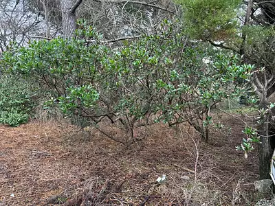 Maison neuve, 180 m²