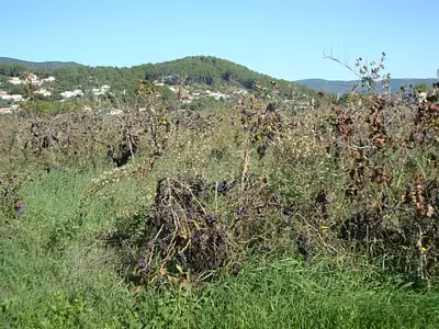 Maison neuve, 78 m²