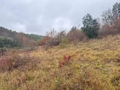 Maison neuve, 111 m²