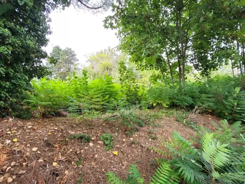 Terrain à bâtir, 725 m² - Pontoise (95300)