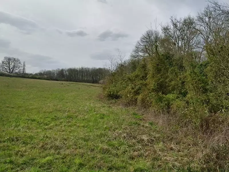 Maison neuve, 50 m² - Le Fousseret (31430)