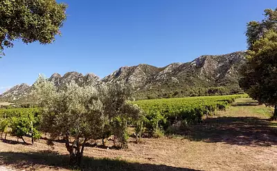 LES VILLAS DOMAINE DE VALLAT