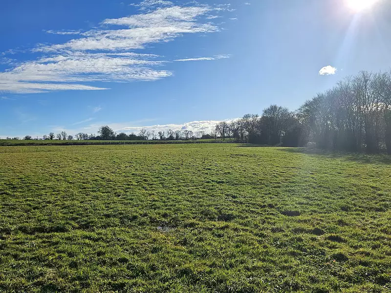 Terrain à bâtir, 850 m² - Condeissiat (01400)