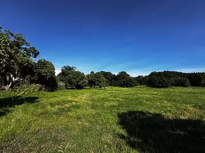Terrain à bâtir, 1 105 m²