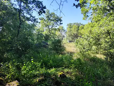 Maison neuve, 140 m²