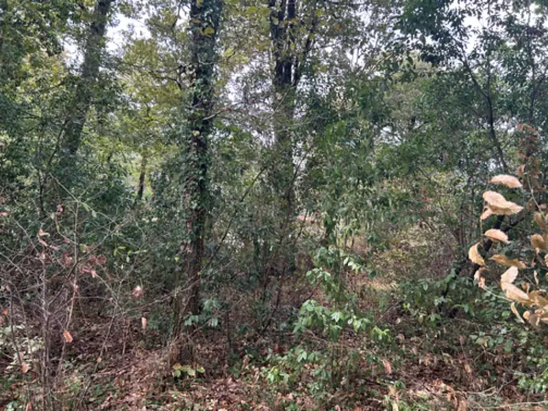 Terrain à bâtir, 1 700 m² - Paillet (33550)