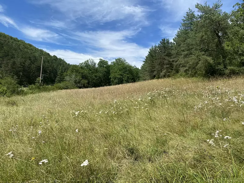 Terrain à bâtir, 1 300 m² - Castels et Bézenac (24220)
