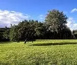 Terrain à bâtir, 500 m²