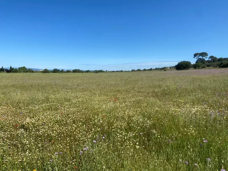 Maison neuve, 90 m² - Bessan (34550)