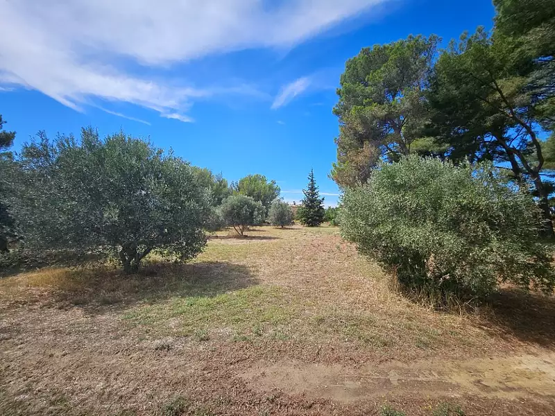 Terrain à bâtir, 464 m² - Saint-Chamas (13250)