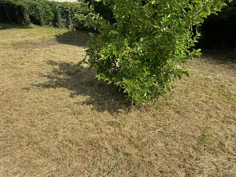 Maison neuve, 117 m² - Meaux (77100)