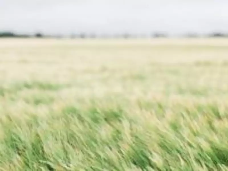 Terrain à bâtir, 376 m² - Druye (37190)