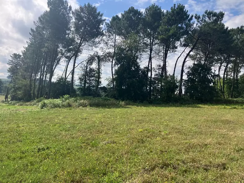 Terrain à bâtir, 800 m² - Casteljaloux (47700)