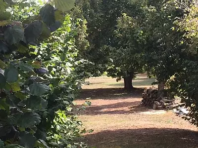 Maison neuve, 92 m²