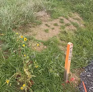 Maison neuve, 70 m²