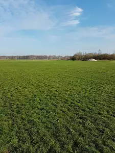 Terrain à bâtir, 831 m²