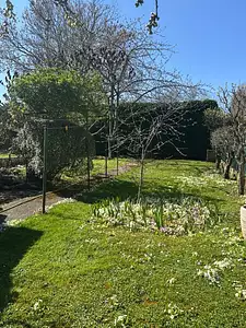 Terrain à bâtir, 457 m²