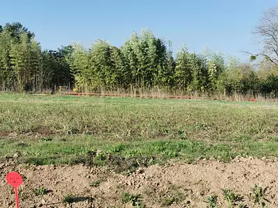 Terrain à bâtir, 364 m²