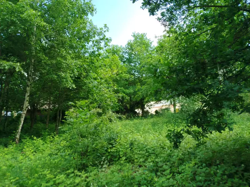 Maison neuve, 100 m² - Thoiry (78770)