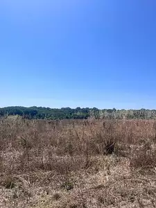 Maison neuve, 60 m²