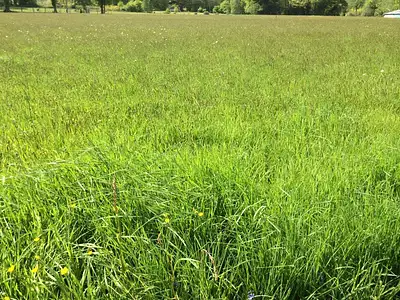 Terrain à bâtir, 270 m²