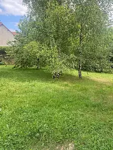 Maison neuve, 90 m²