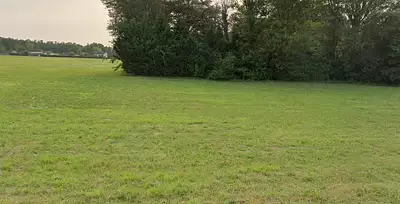 Terrain à bâtir, 887 m²