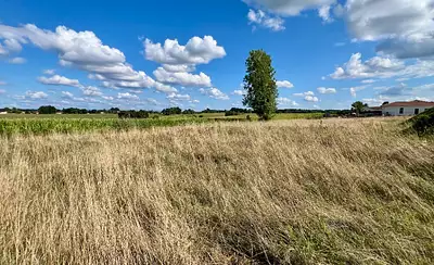 Terrain à bâtir, 1 113 m²