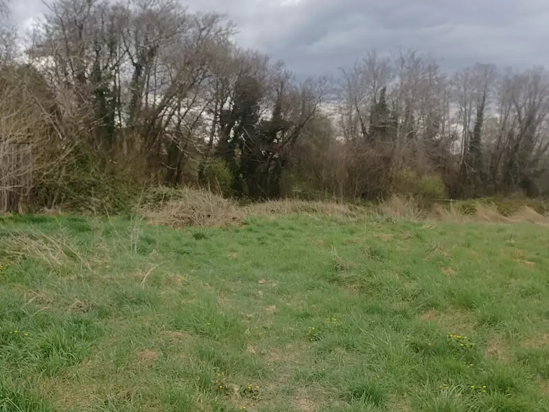 Terrain à bâtir, 974 m² - Bazas (33430)