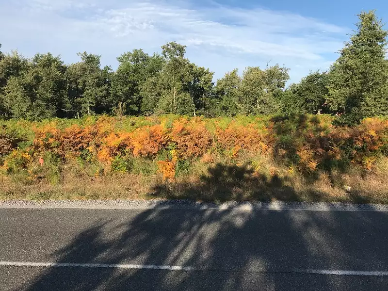 Terrain à bâtir, 746 m² - Le Temple (33680)