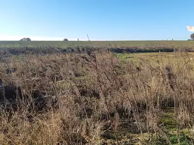 Terrain à bâtir, 446 m²