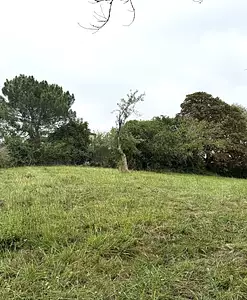 Terrain à bâtir, 264 m²