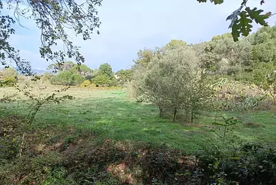 Maison neuve, 95 m²