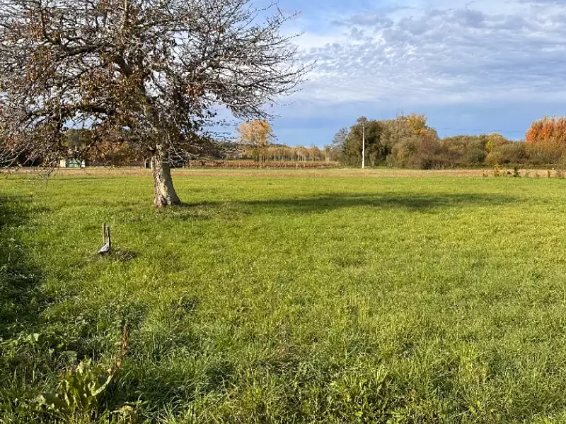 Terrain à bâtir, 1 404 m² - Sainte-Florence (33350)