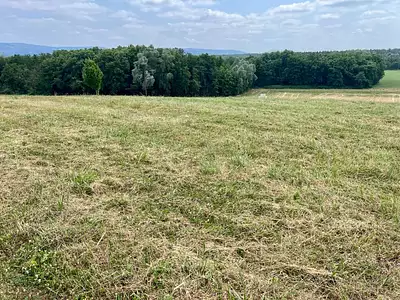 Maison neuve, 90 m²