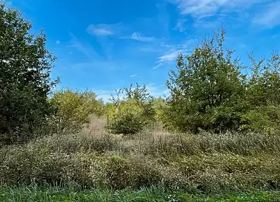 Terrain à bâtir, 2 000 m²