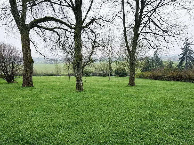 Terrain à bâtir, 650 m² - Cluny (71250)