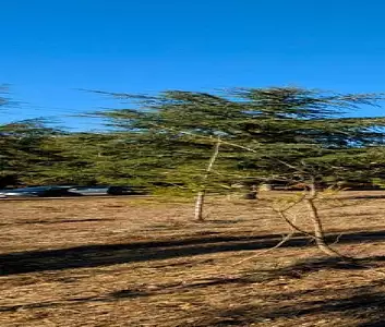 Maison neuve, 125 m²