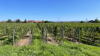 Maison neuve, 120 m²