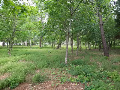 Terrain à bâtir, 394 m²
