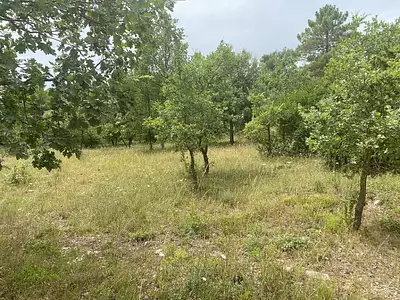 Maison neuve, 86 m²